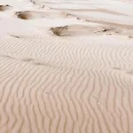 Near Dutch Coast & Park *