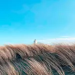 Near Dutch Coast & Park *