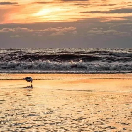 Near Dutch Coast & Park Noordwijk