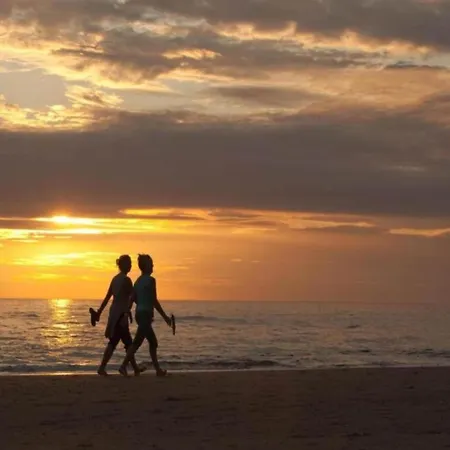 Near Dutch Coast & Park Noordwijk