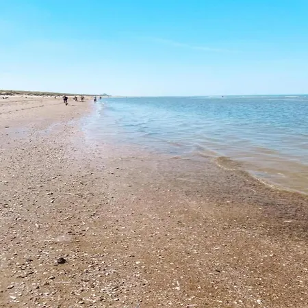 Near Dutch Coast & Park Noordwijk