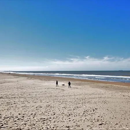 Near Dutch Coast & Park * Noordwijk