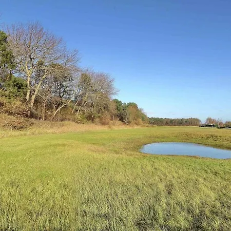 Near Dutch Coast & Park