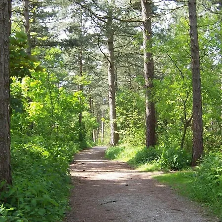Vakantiehuis Near Dutch Coast & Park Noordwijk