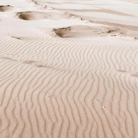 Near Dutch Coast & Park *