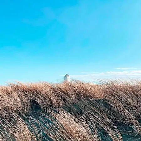 Near Dutch Coast & Park *