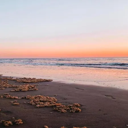 Near Dutch Coast & Park