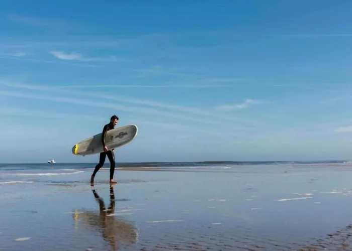 Near Dutch Coast & Park 別荘