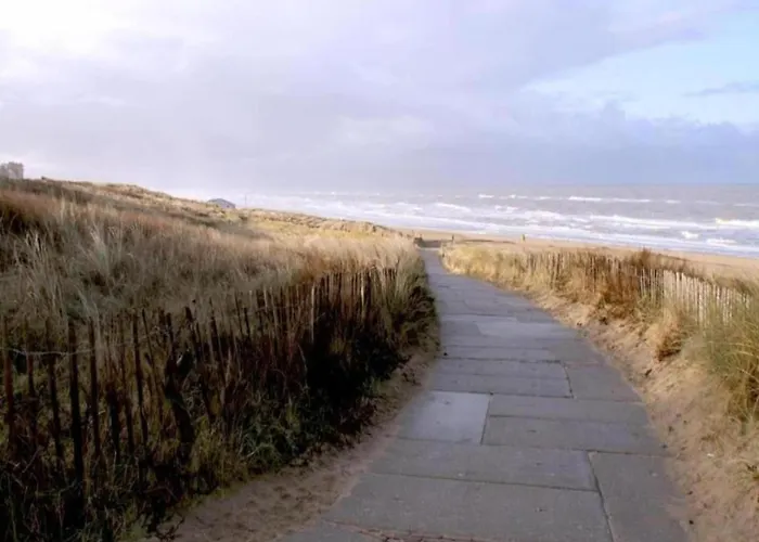 Near Dutch Coast & Park *