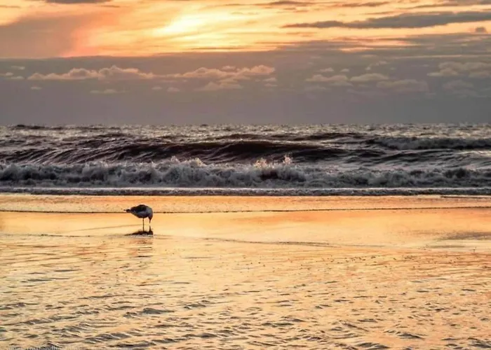 Near Dutch Coast & Park Noordwijk
