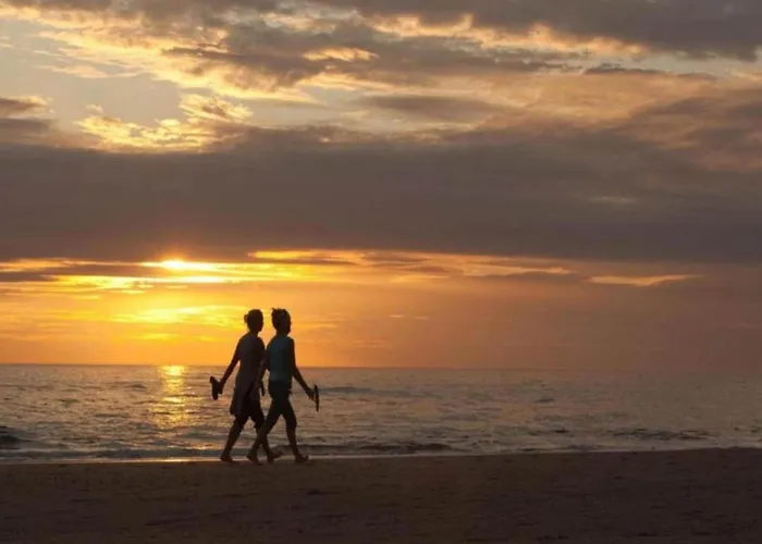 Near Dutch Coast & Park Noordwijk