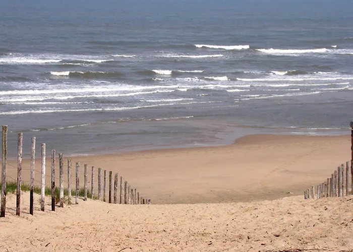 Near Dutch Coast & Park 別荘 *