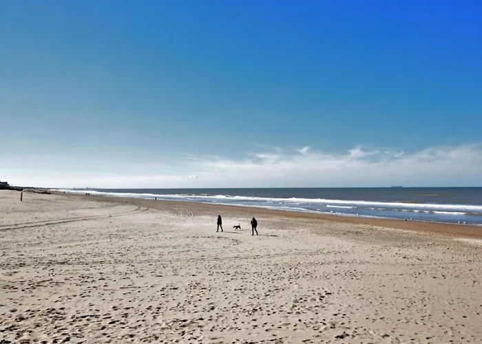 Near Dutch Coast & Park * ノールトウェイク