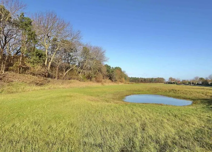 Near Dutch Coast & Park