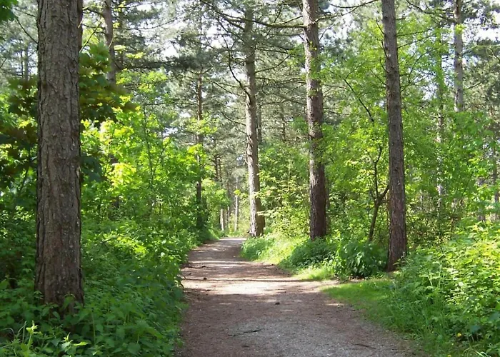 Casa de Férias Near Dutch Coast & Park Noordwijk