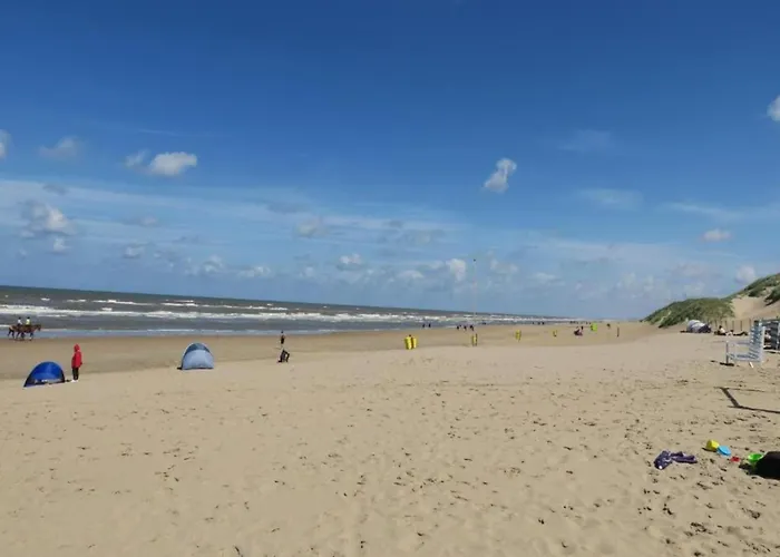 Near Dutch Coast & Park 別荘 ノールトウェイク