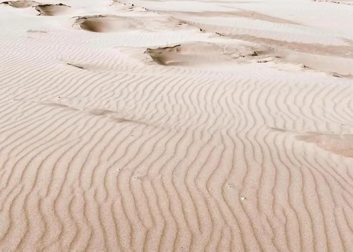 Near Dutch Coast & Park *