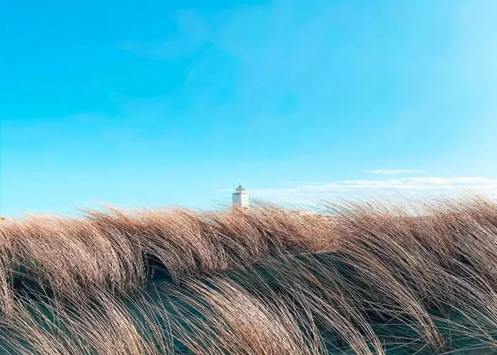 Near Dutch Coast & Park *