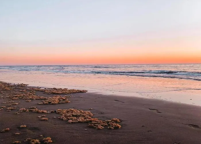 Near Dutch Coast & Park